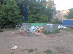 Волгодонцев попросили не мусорить и следить за теми, кто портит порядок в городе 