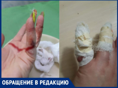 Черный пес напал на маму с детьми в садоводстве «Летний сад» и сильно покусал женщину 