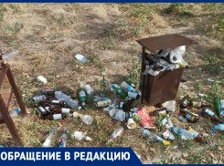 «Мы не думали, что такое бывает!»: аллея рядом с детским садиком «Уголёк» стала свалкой пивных бутылок