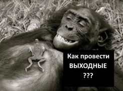 Выходные в Волгодонске: КВН, «Театральная весна», иллюзионное шоу Алекса Крея и вечеринка от группы «Драйв»