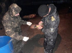 Волгодонские браконьеры ловили рыбу на сети в Сухо-Соленовском заливе
