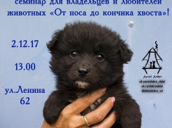 «От носа до кончика хвоста»: в Волгодонске пройдет бесплатный обучающий семинар для тех, у кого дома есть четвероногий друг