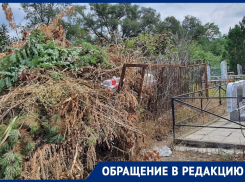 «Из могил устроили свалки»: волгодончанка в шоке от состояния кладбища №1