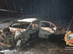 Автомобиль слетел с трассы и загорелся: смертельное ДТП на автодороге Семикаракорск-Волгодонск 