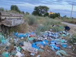 Волгодонск вошел в число городов с наибольшим количеством неубранной территории