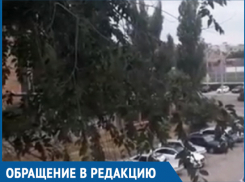 Мы уже второй год всем домом провожаем незнакомых нам призывников, - жители Волгодонска