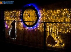 В новогоднюю ночь в Ростове выступит Юлианна Караулова, а в Волгодонске пройдет массовое гулянье