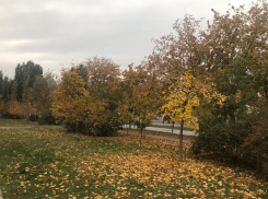 Пасмурно и ветрено будет в понедельник в Волгодонске