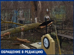 «Поломанные деревья разрушают оградки  и памятники»: волгодонцы о состоянии старого кладбища 