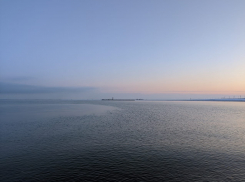 Мертвыми нашли мать и сына на берегу Цимлянского водохранилища