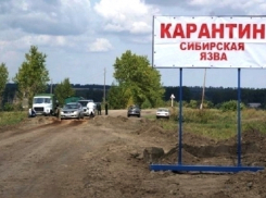 Волгодонская ветеринарная инспекция предупредила горожан о вспышке сибирской язвы