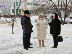 Вадим Кулеша выехал на место, где снегоуборочный КАМАЗ повредил растения и застрял в провале