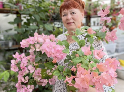 Как получить 1000% прибыли, инвестируя в свои растения