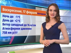 Небольшой снег и легкий мороз ожидает волгодонцев в ближайшие выходные