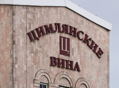 «Цимлянские вина» полностью выставили на продажу