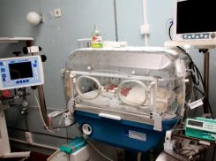 В реанимацию Детской больницы купят два аппарата ИВЛ для новорожденных за 9 миллионов рублей 