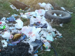 Прокуратура Волгодонска провела проверку после публикации «Блокнота» о свалках на кладбище