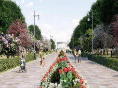 Бизнес проигнорировал аукцион на реконструкцию Приморского парка в Цимлянске