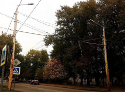 До +19 градусов прогреется сегодня воздух в Волгодонске