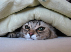 Жителям Волгодонска придется померзнуть до середины октября