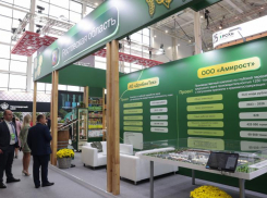 Власти включили Волгодонск в тройку ведущих биотехнологических центров в регионе