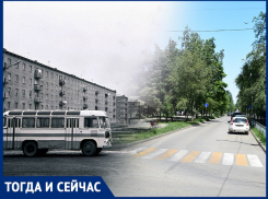 Волгодонск тогда и сейчас: 50 лет СССР  без деревьев