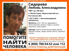 Мертвой найдена без вести пропавшая жительница Мартыновского района