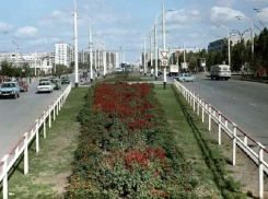 Потерянные куры, стоматологи-нелегалы и мойка путепровода к приезду министра: о чем писали  газеты в июне 1988 года