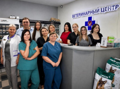 Они понимают животных без слов: специалисты Ветеринарного центра отмечают профессиональный праздник