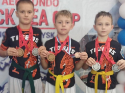 Юные тхэквондисты завоевали престижные награды на соревнованиях в Краснодарском крае