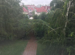 Ливневые дожди и сильный ветер обещают синоптики 2 августа