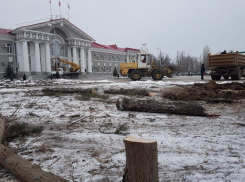 Остатки деревьев спиливают возле администрации Волгодонска 