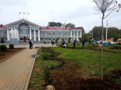 В Волгодонске высадили более 2000 деревьев и кустарников