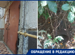 Не убранный подъезд и урна в клумбе: волгодонцы требуют навести порядок в МКД 