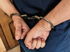 Вернулся с прогулки без телефона 18-летний волгодонец: кражу гаджета раскрыли полицейские 