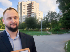 Инициатором вырубки «липовой рощи» на улице Ленина выступил депутат Владимир Брагин