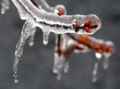  Дождь и ветер с порывами до 12 метров в секунду ожидаются в Волгодонске в воскресенье