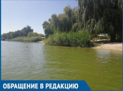 Грязный и запущенный городской пляж возмутил волгодонцев