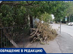 Огромная куча веток мешает гулять у Департамента труда и социального развития молодой маме 