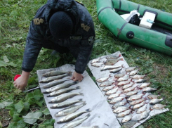 На 15-м котловане в Волгодонске поймали браконьера на резиновой лодке