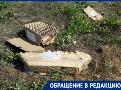 Прекрасен праздничный салют, но мусор после него никто не соизволил убрать: волгодончанка 