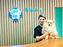 Ветеринарная клиника «Балу» - надежный помощник в заботе о здоровье питомца