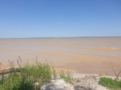 Дон начинает быстро мелеть 