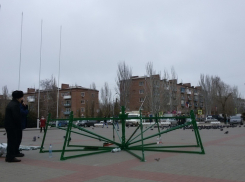 Началась установка самой высокой новогодней ели в Волгодонске