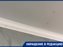 «Нас жрут кровососы»: жители МКД на Морской устали жить с комарами в квартирах