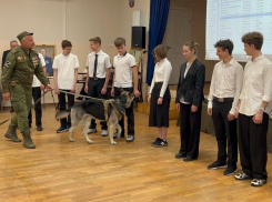 Донские школьники встретились с ветераном СВО и его псом