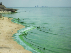 Цимлянское водохранилище обмелело почти на метр