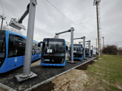 В 2 раза до трети от всей выручки выросли убытки МУП «ГПТ» в Волгодонске