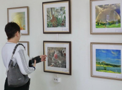 Как красив Донецк, несмотря на войну: в Волгодонске открылась выставка посвященная столице ДНР