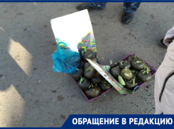 Предприимчивая цыганка выдавала капусту за чудо-растение в поселке Зимовники 